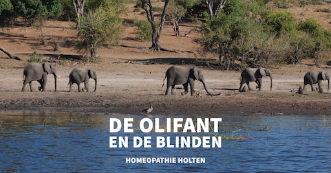 de olifant en de blinden